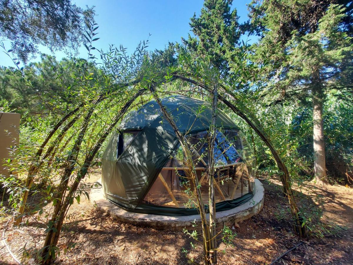 Salema Eco Camp - Sustainable Camping & Glamping Bagian luar foto