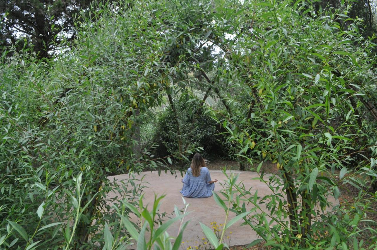 Salema Eco Camp - Sustainable Camping & Glamping Bagian luar foto